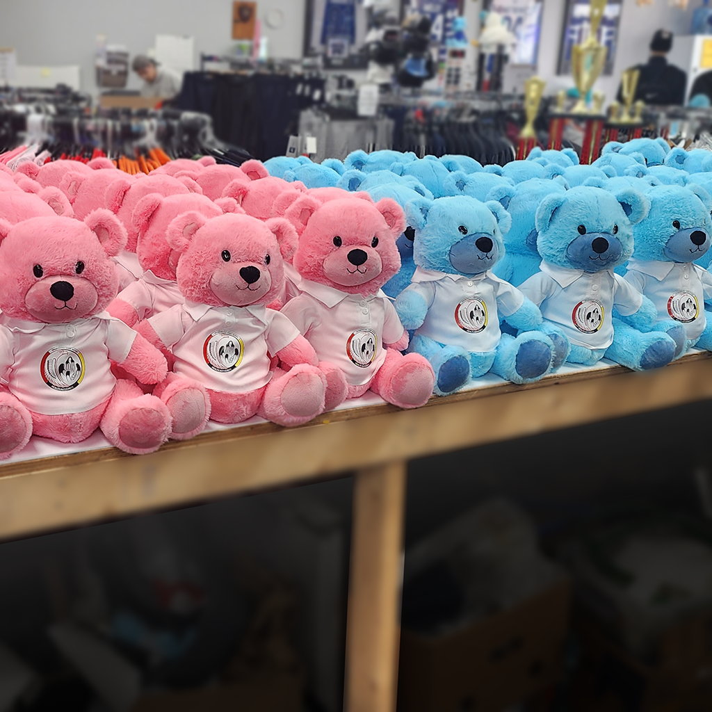 pink and blue bears with custom embroidered t-shirts